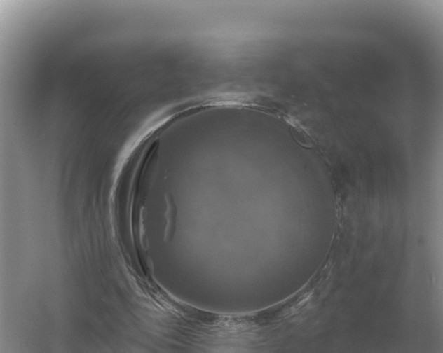 X0000058140343200509302024