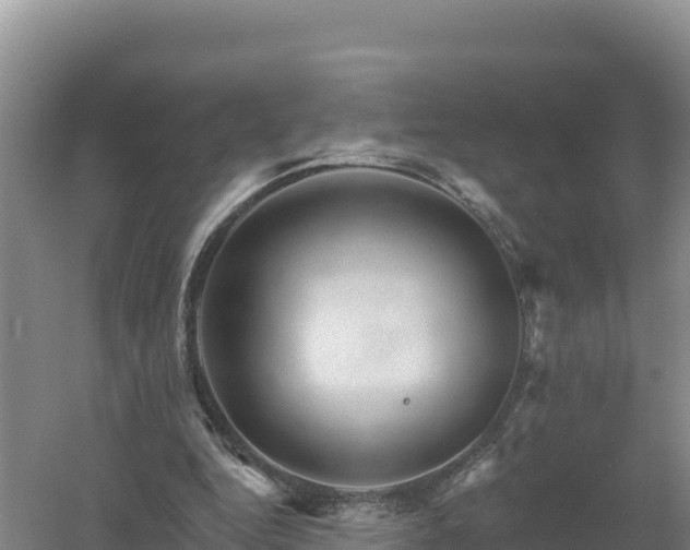 X0000058140344200509302025