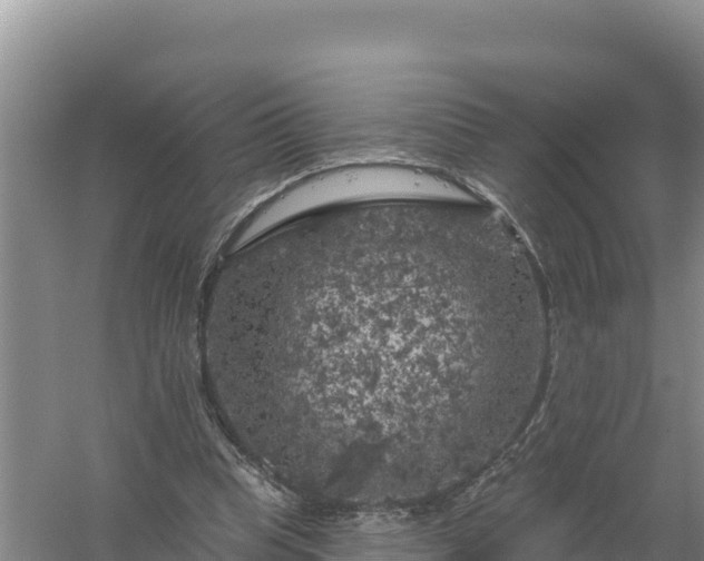 X0000058140345200509302025