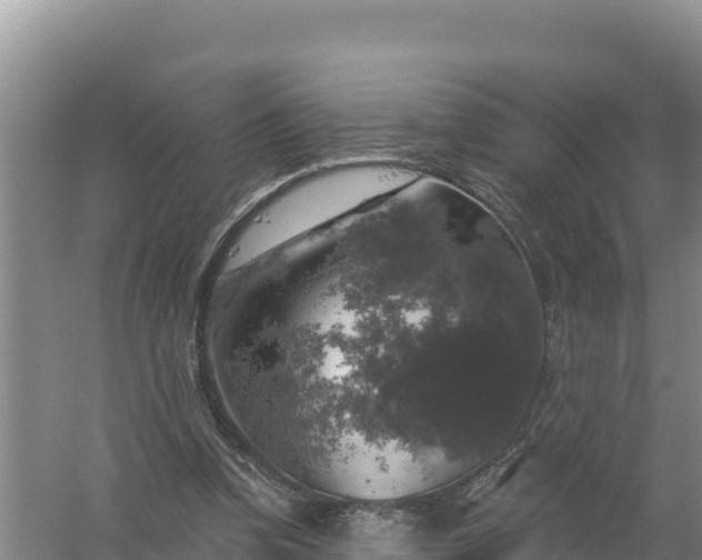 X0000058140346200509302025