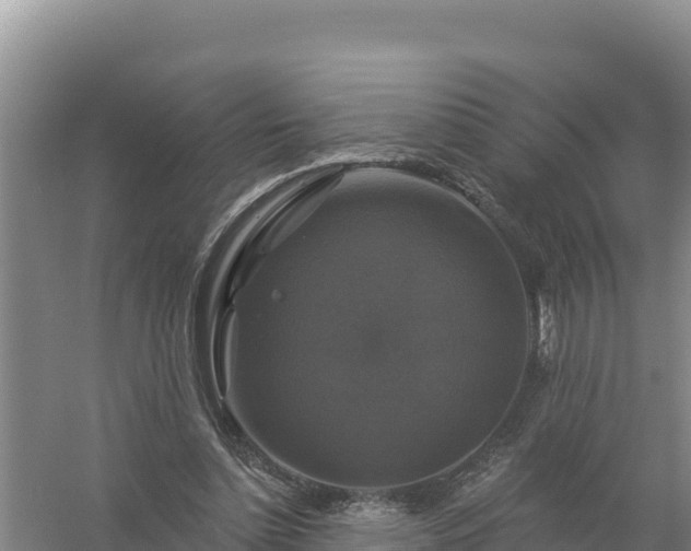 X0000058140348200509302025