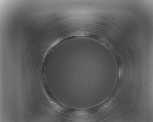 X0000058140349200509302025