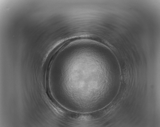 X0000058140350200509302025