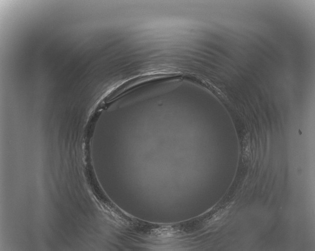 X0000058140351200509302025