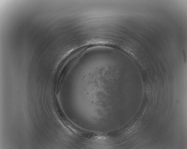 X0000058140352200509302025