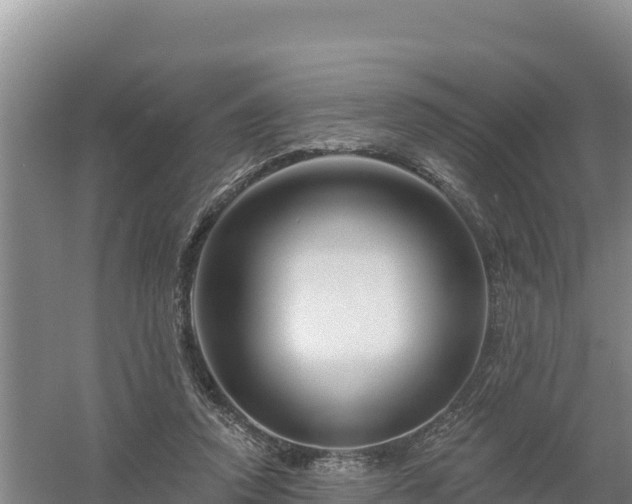 X0000058140354200509302025