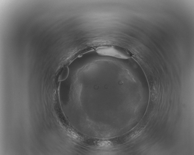 X0000058140355200509302025