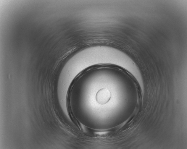 X0000058140356200509302025