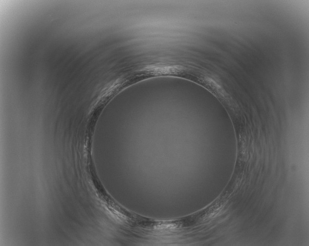 X0000058140357200509302025