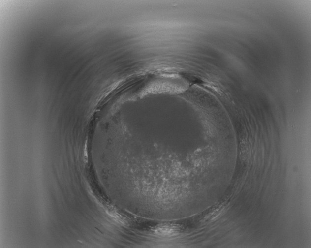 X0000058140358200509302025