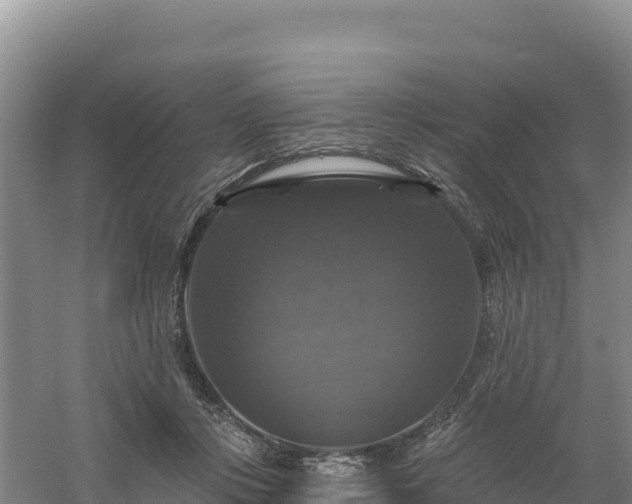 X0000058140359200509302025