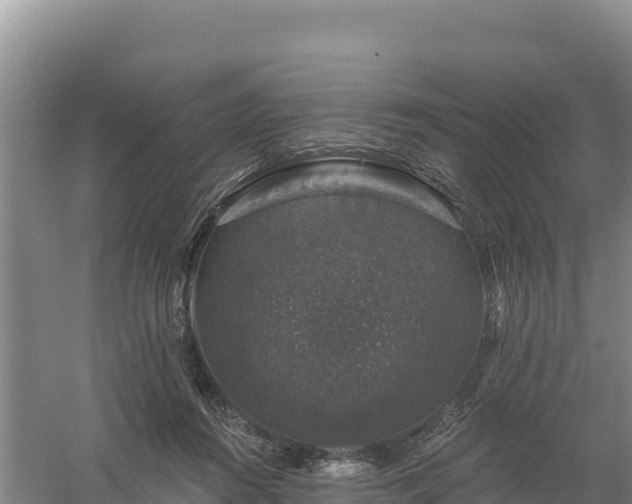 X0000058140360200509302025