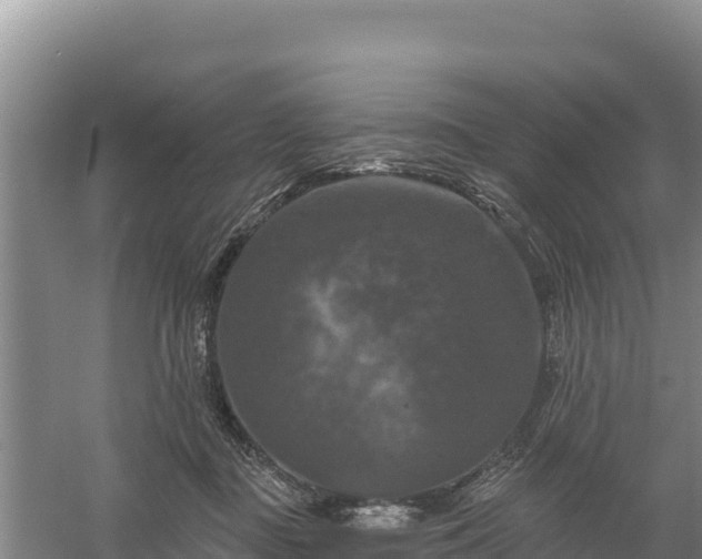 X0000058140363200509302025