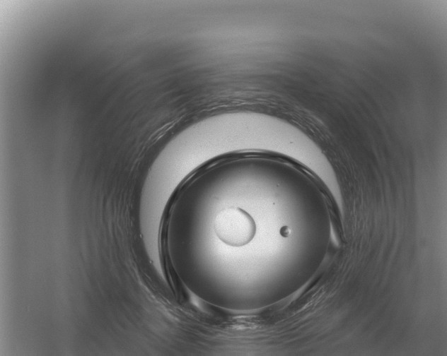 X0000058140364200509302025