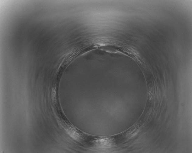 X0000058140365200509302025