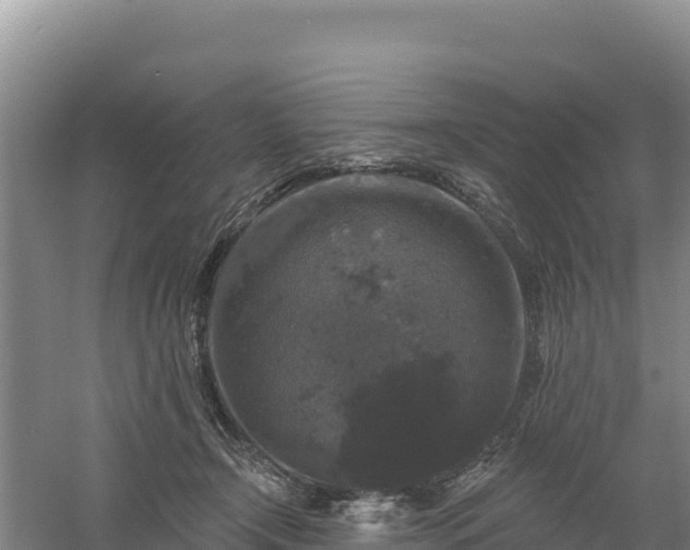 X0000058140366200509302025