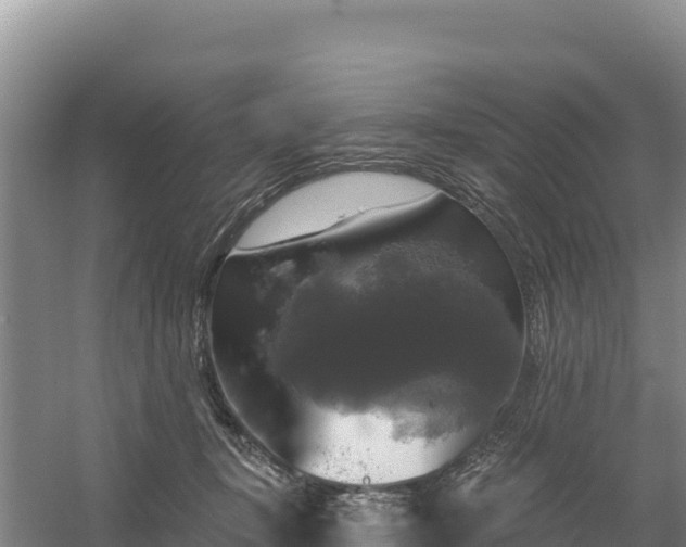 X0000058140367200509302025