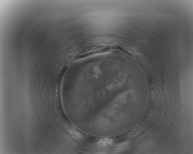 X0000058140369200509302025