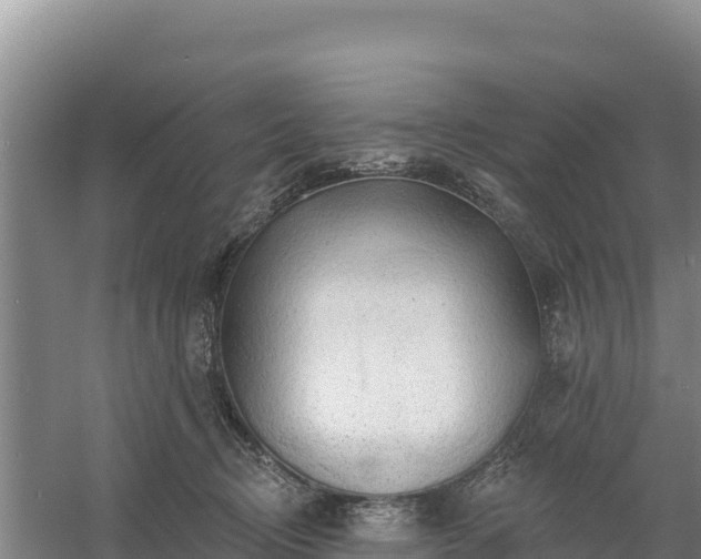 X0000058140370200509302025