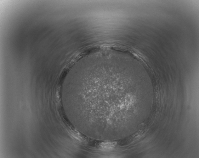 X0000058140373200509302025