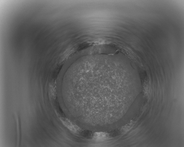 X0000058140376200509302025