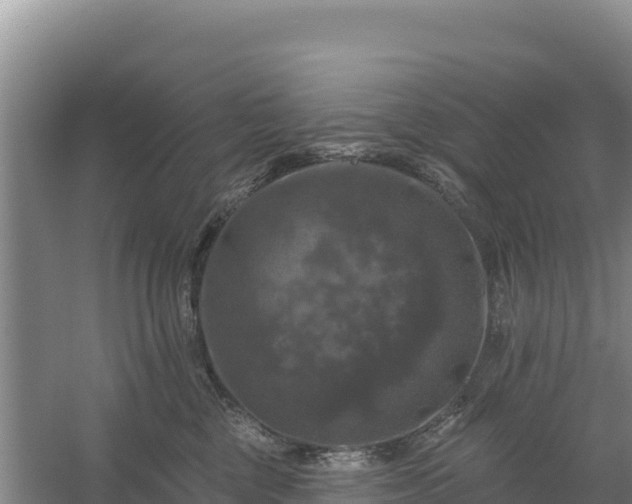 X0000058140377200509302025