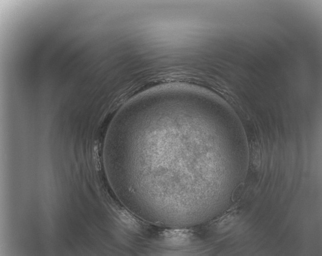 X0000058140378200509302025