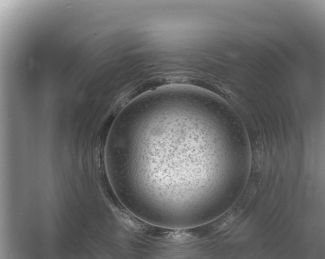 X0000058140379200509302025