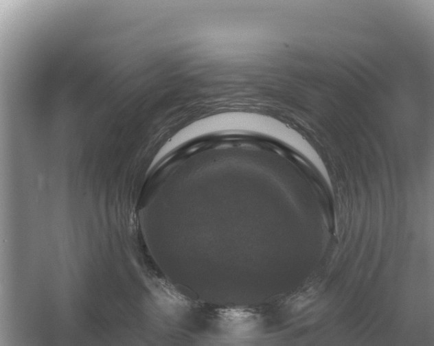 X0000058140380200509302025