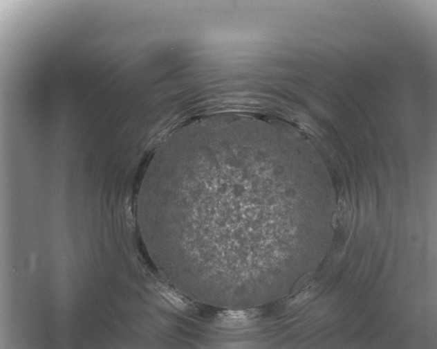 X0000058140381200509302025