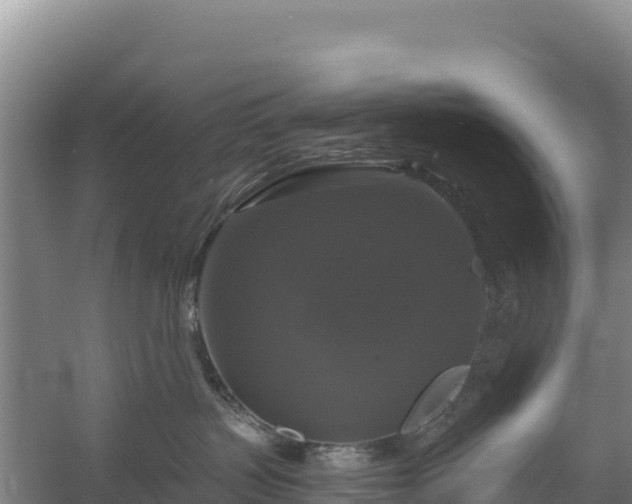 X0000058140383200509302025