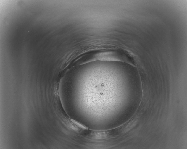 X0000058140384200509302025