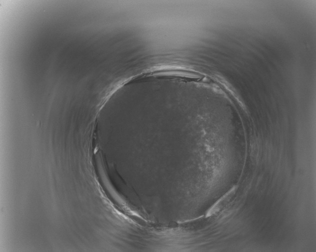 X0000058140385200509302024