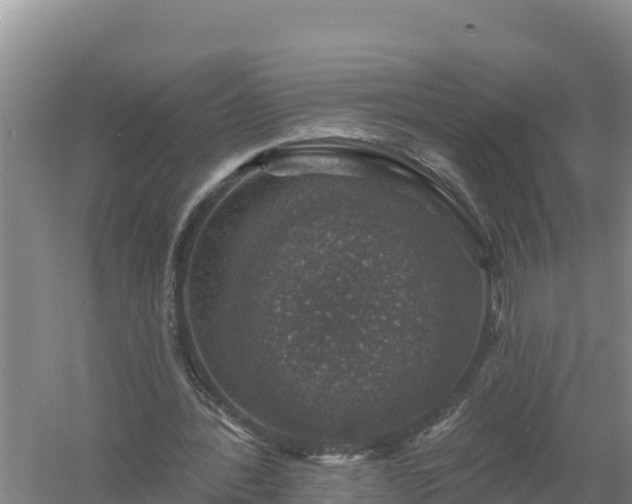 X0000058140388200509302024