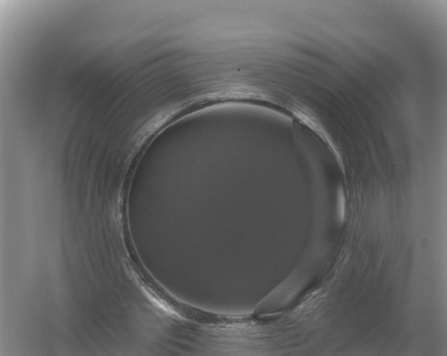 X0000058140389200509302024