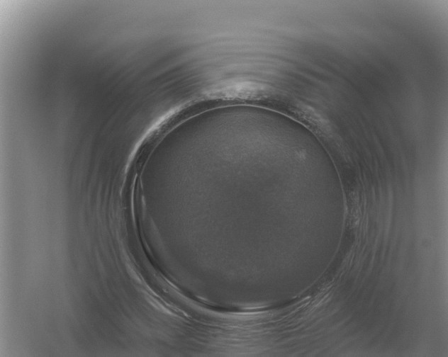 X0000058140392200509302024