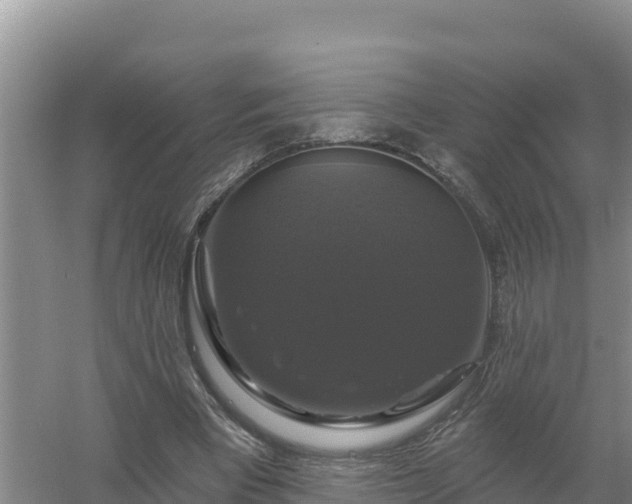 X0000058140393200509302024