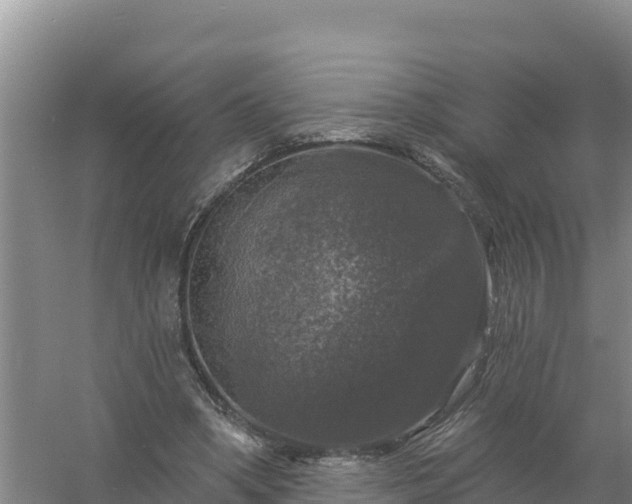 X0000058140394200509302024