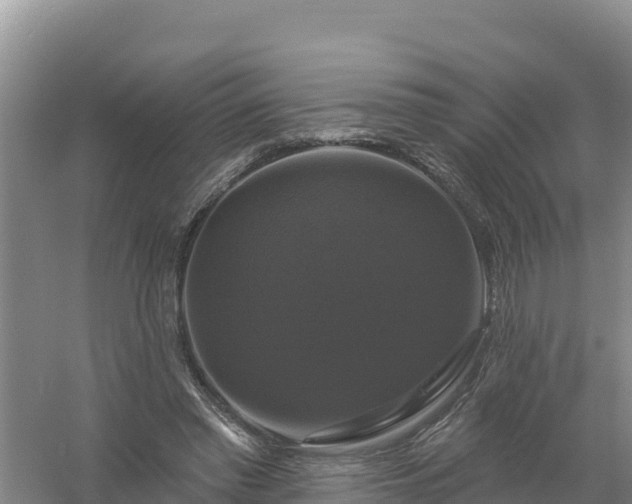 X0000058140397200509302024