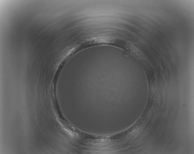 X0000058140398200509302024