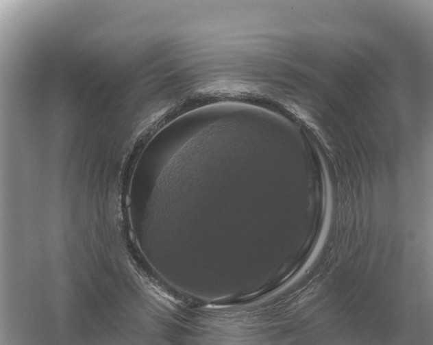 X0000058140399200509302024