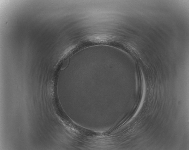 X0000058140400200509302024