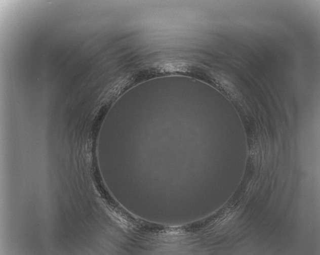 X0000058140402200509302024