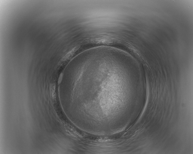 X0000058140403200509302024