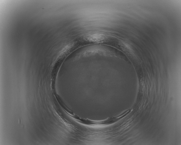 X0000058140404200509302024