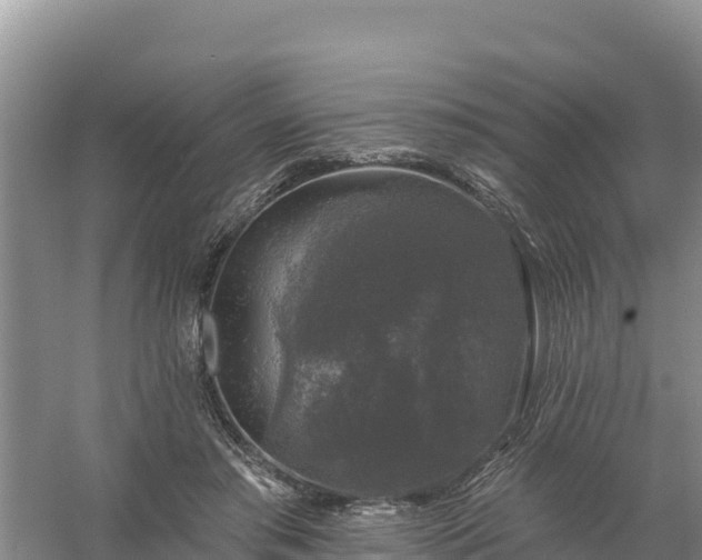 X0000058140405200509302024