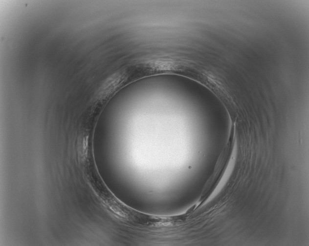 X0000058140406200509302024