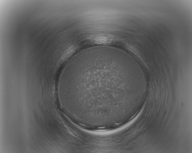 X0000058140407200509302024