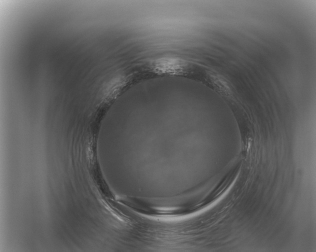 X0000058140408200509302024