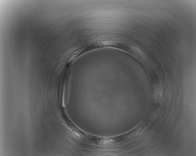 X0000058140410200509302024